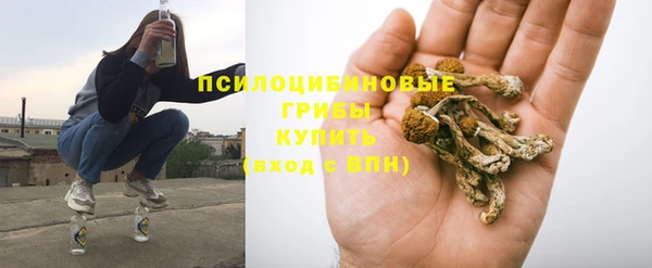 Альфа ПВП Семёнов