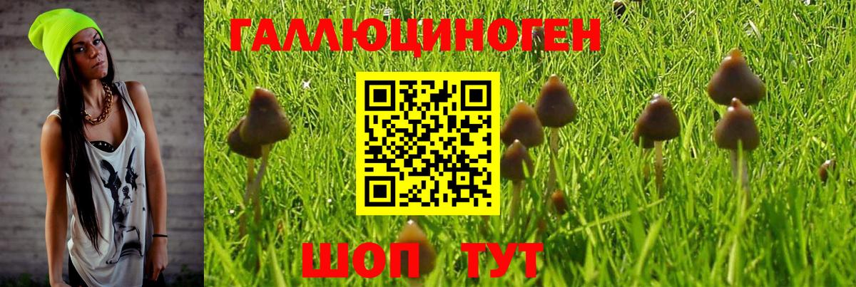 Меф  Воронеж  Канабис  Alpha PVP  MDMA  Вход с VPN  Гарик  КОКАИН 