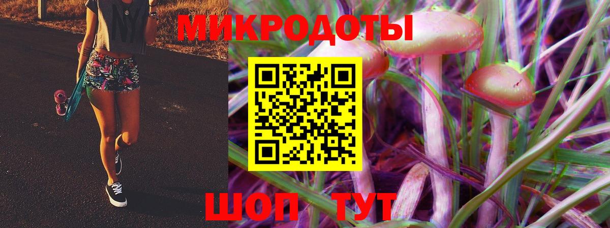 Воронеж  Псилоцибиновые грибы Psilocybine cubensis  Вход с VPN 