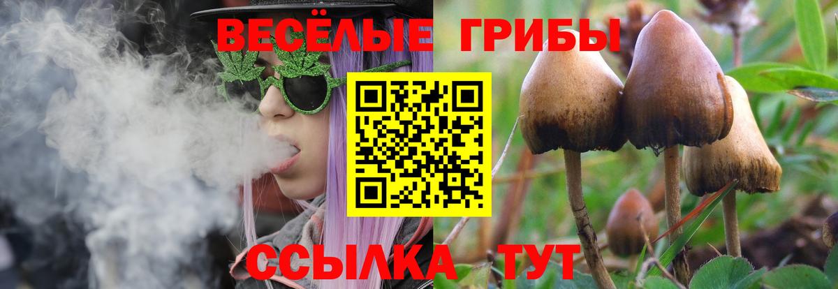 Галлюциногенные грибы прущие грибы  Воронеж 